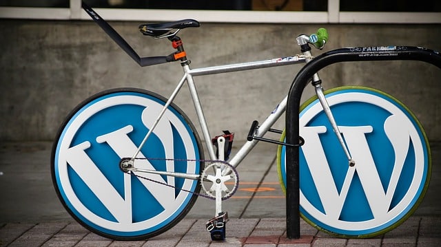 WordPress website
