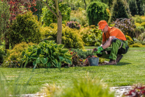 Lead Generation 2 Gardener leads