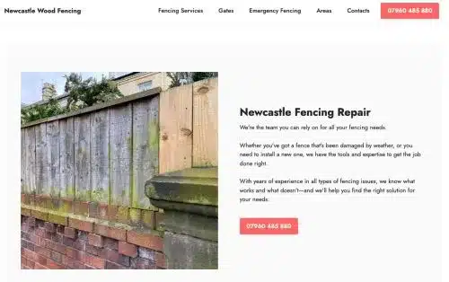 Newcastle Fencing Screenshot