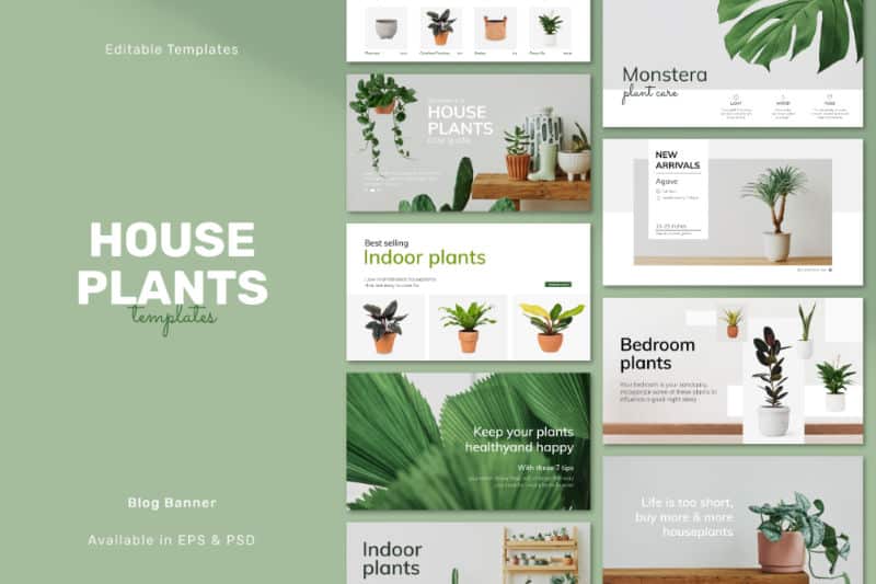 WIX Designers